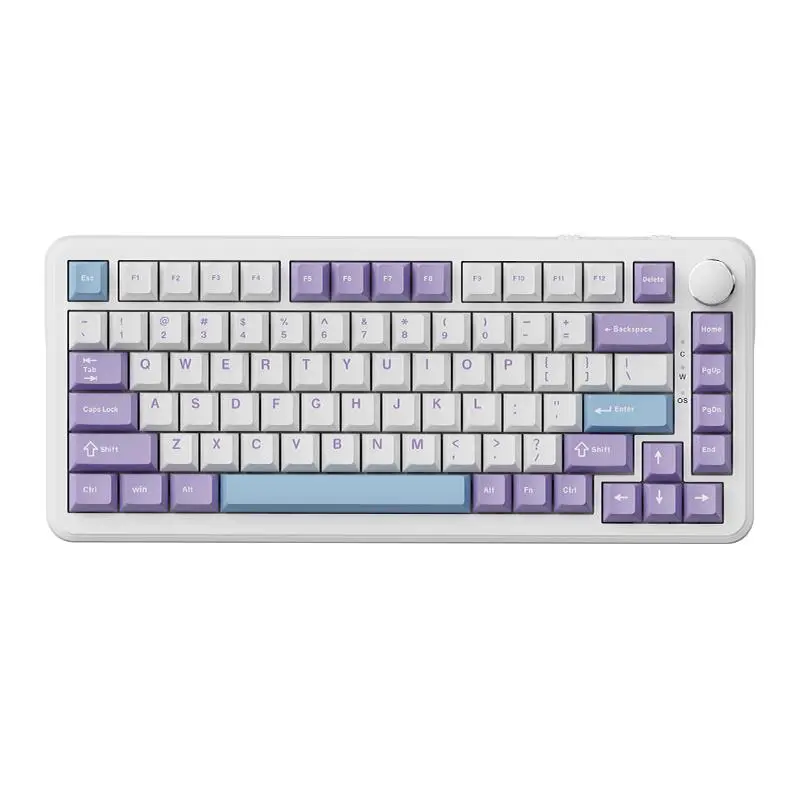 AJAZZ AK820MAX magnetic switch wired mechanical keyboard gaming game hot-swappable customized keyboard Gasket structure RT adjustable key stroke low latency