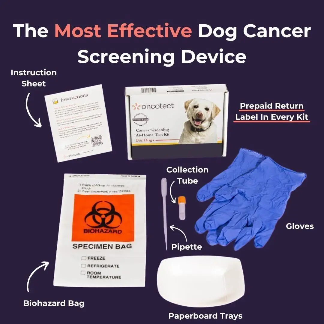 Cancer Screening Test for Dogs - Premium  | Dog Urine-Based Home Test Kit with Lab Results - Early Cancer Detection Kit