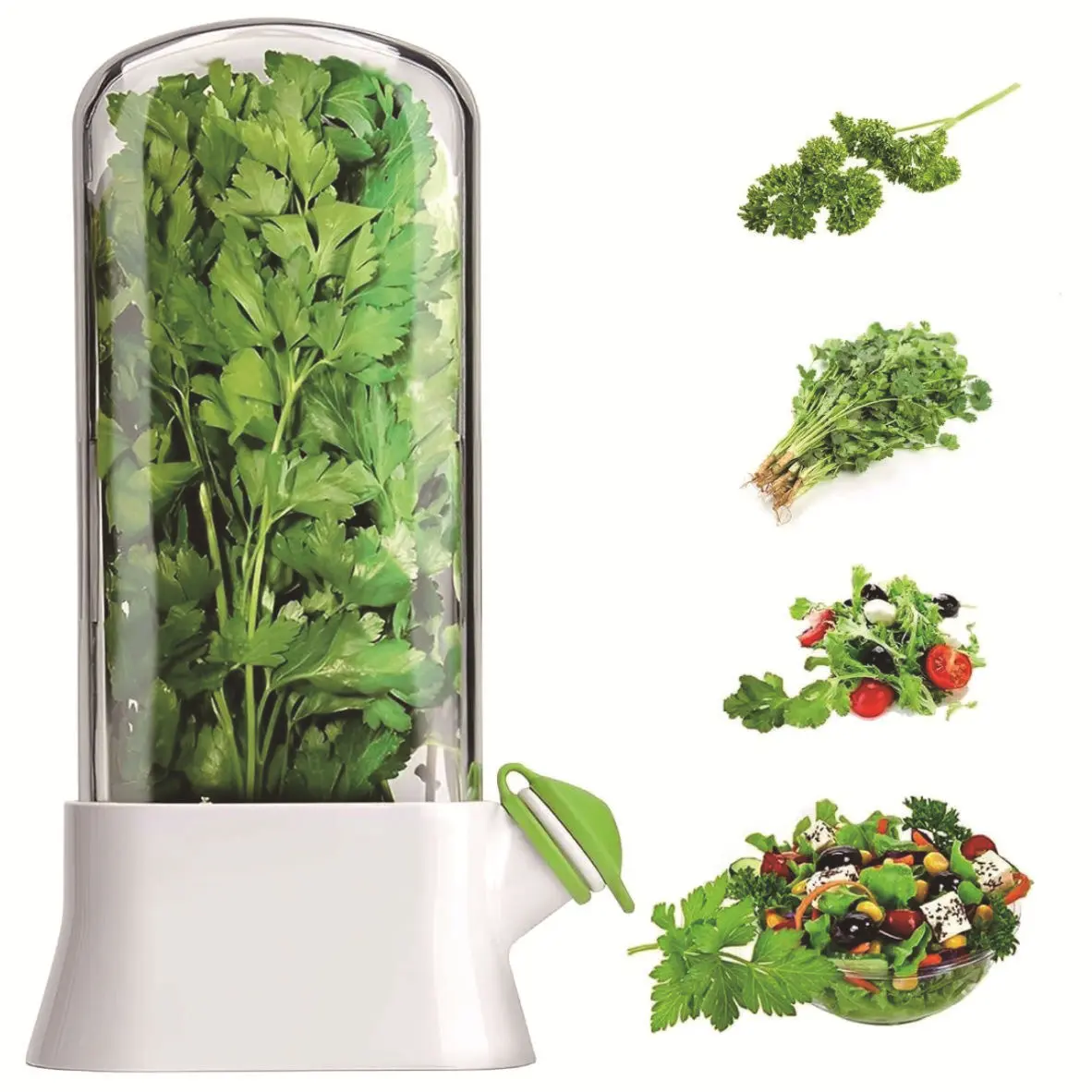 Herb Keeper for Refrigerator - Shatterproof Anti-Crush Preservation Style, Eco-Friendly Fresh Herb Preserver, Ideal for Cilantro, Asparagus, Thyme & Greens Storage, Produce Storage Containers