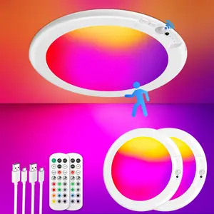 GKV Rechargeable LED Ceiling Lamp - Human Body Sensing, 3 Lighting Modes, Battery-Powered Remote Control Dimming & Timing, Suitable for Bathroom, Living Room, Corridor