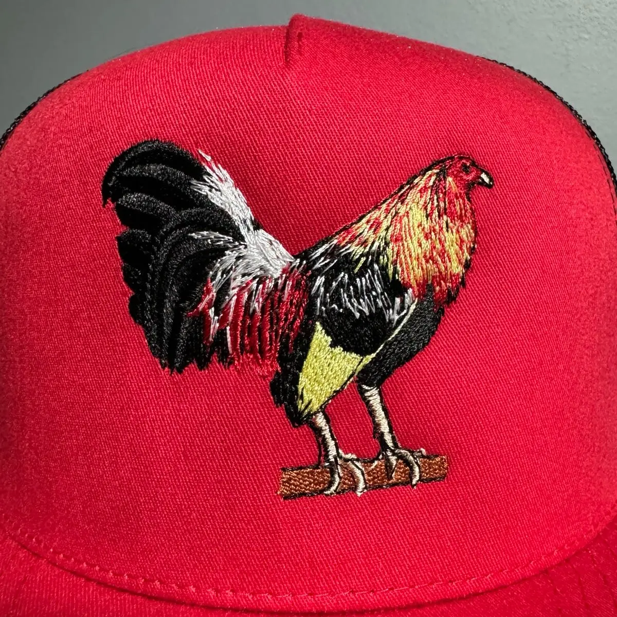 Rooster hat EJ