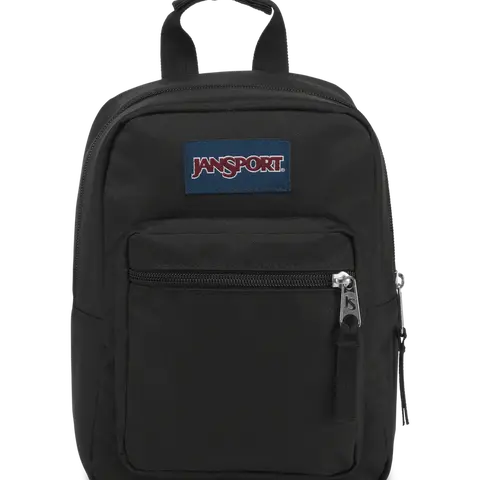 JanSport Big Break School Insulated Lunch Bag