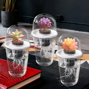 3 Pack Clear Cylinder Planter Hydroponic Growing System