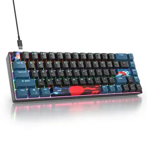 65% Mechanical Gaming Keyboard, 68 Keys Keyboard, Compact Wired Keyboard with Red Switch Rainbow Backlit  for PC Laptop Gamer