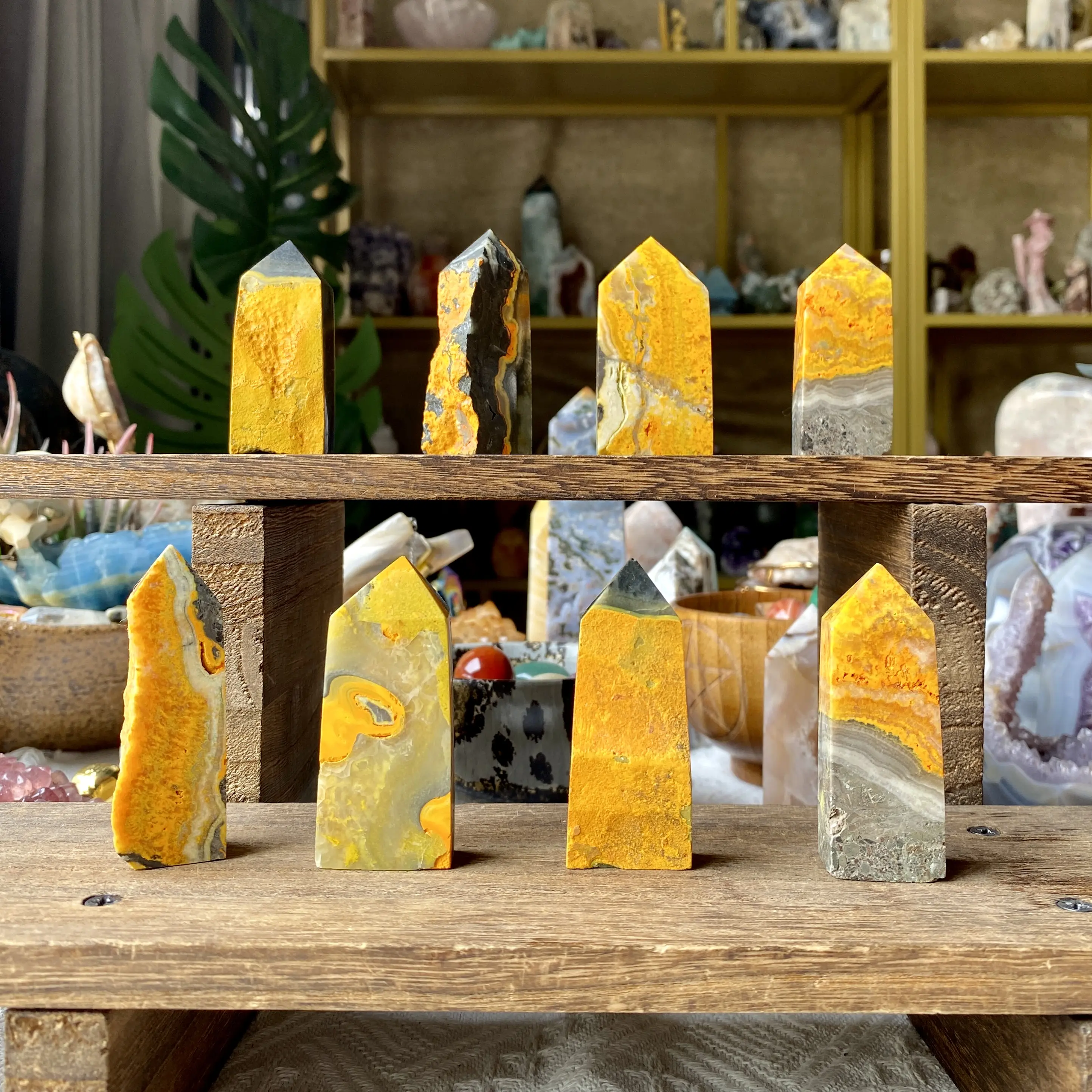 Natural Crystal Bumblebee Jasper Point Collection