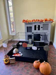 Aivituvin-AIR71  Bunny Playpen| Guinea Pig  Playpen with Floor,Petlife,Dog Playpen,Rabbit Playpen,Dog crate,Metal Pet Fence with Pad