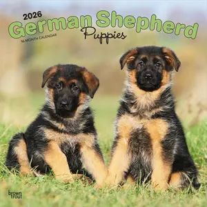 German Shepherd Puppies | 2026 12 x 24 Inch (Hanging) Monthly Square Wall Calendar | Plastic-Free | BrownTrout | Animals Dog Breeds Puppy