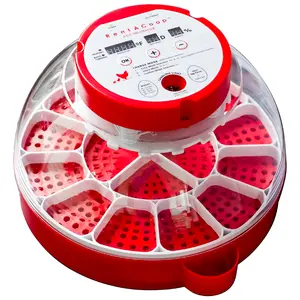 RentACoop 16-Egg Smart Incubator for Chickens, Ducks, Quail, or Other Poultry