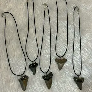Fossilized shark tooth necklace silver and black