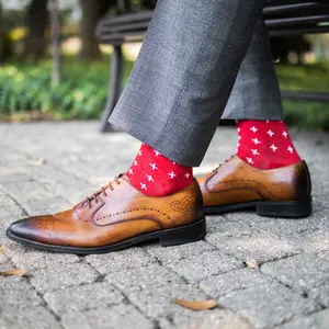 The Ashevilles - A Red Sock with White Hatches