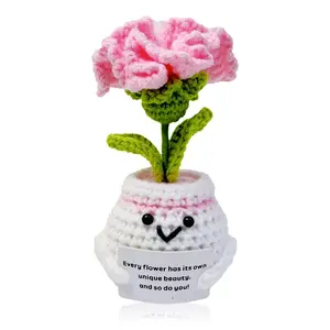 Crochet Potted Flower, 1 Count Cute Flower Pot with Encouragement Card, Mini  Birthday Gift for Friend & Family, Home Decor, Crochet Artificial Flowers