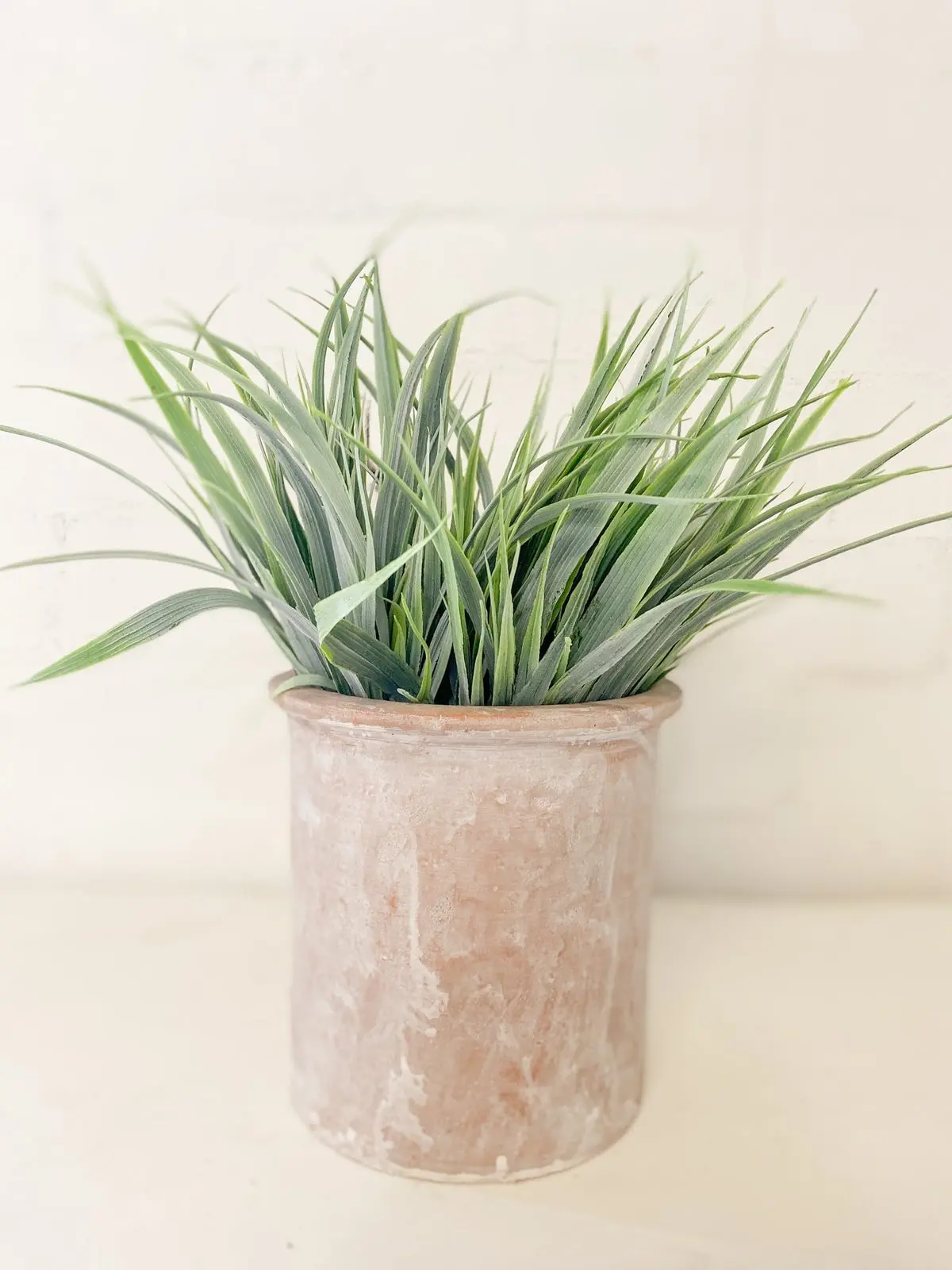 Green Grass Bush