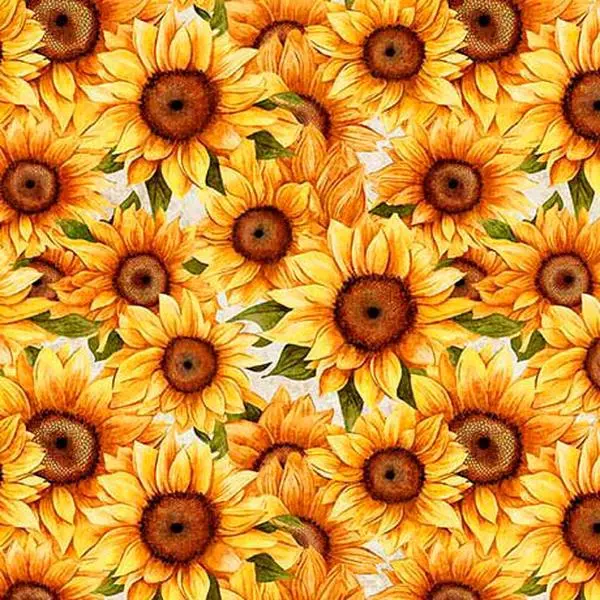 Fabric QT White Packed Sunflowers Sunflower Serenade by the Quarter Yard 31804-Z