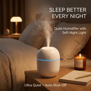 Egg Shape Humidifier, Portable Mini White Humidifier with Colorful Night Light, Ultra Quiet 25dB Nano Mist Humidifier, Auto Shut Off USB Humidifier for Bedroom, Desk, Home, Office, Dorm Room, Personal Use for Adults Students