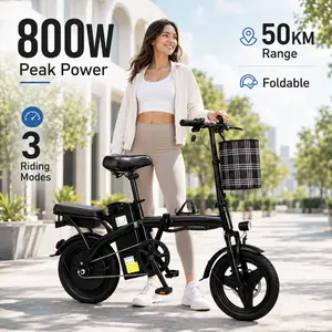 Foldable Dual-Seat Electric Bike, 800W Peak Motor, Up to 20MPH, Approx. 30 Mi Range, Removable Battery, 14” Tires, Front & Rear Perforated Disc Brakes, 3 Riding Modes for Daily Commuting tall ebike adult Folding