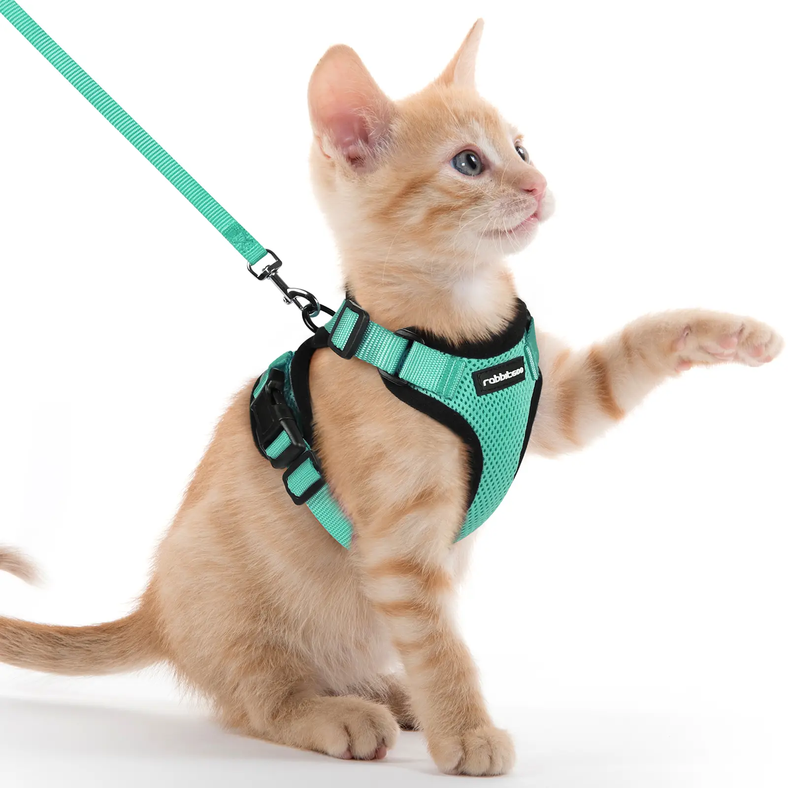 Rabbitgoo Cat Harness and Leash for Walking, Escape Proof Soft Adjustable Vest Harnesses for Cats, Easy Control Breathable Reflective Strips Jacket,Ea