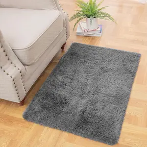 Small Throw Rugs for Bedroom, 2x3 Non Slip Mini Area Rug, Affordable Fluffy Grey Carpet, Door Entryway Indoor Inside Front Entrance Dog Mat, Home Decor Aesthetic, Nursery