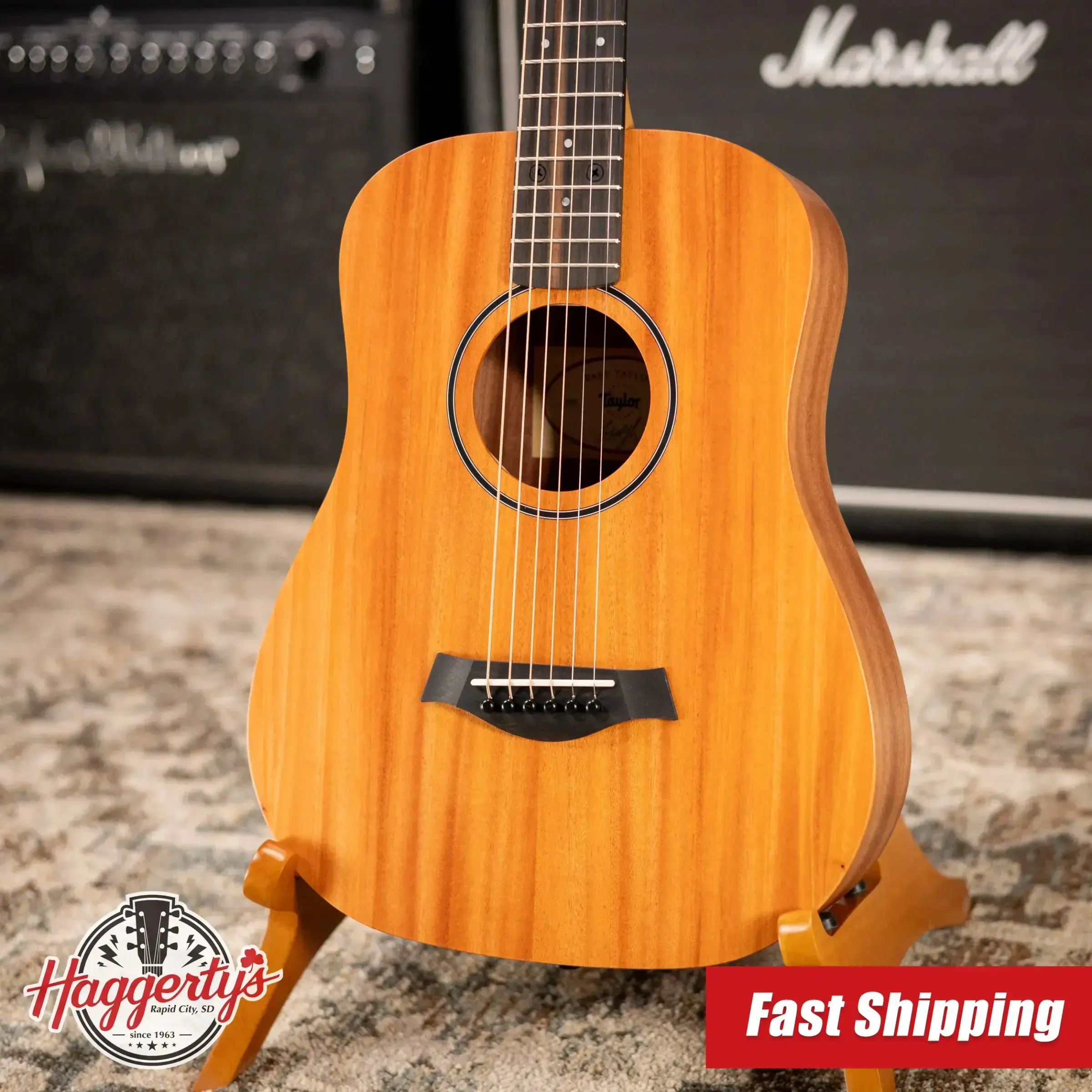 Taylor BT2 Mahogany Acoustic Guitar with Gig Bag