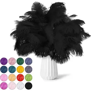 30pcs Ostrich Feathers Natural Bulk 8-10inch(20-25cm) Vase Craft Wedding Home Party Centerpieces Christmas Day Decoration