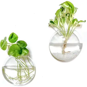 Wall Hanging Glass Planter Propagation Station - 2 Pack Oblate Globe Wall-Mounted Vases for Indoor Hydroponic Air Plants Bathroom Living Room Office Decor Gift for Women, Mom, Plants Lovers