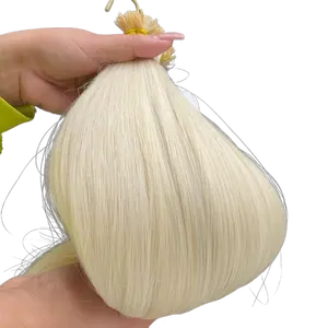 Itips H1001 Platinado Itips Hair Extensions - Smooth & Exquisite Hair