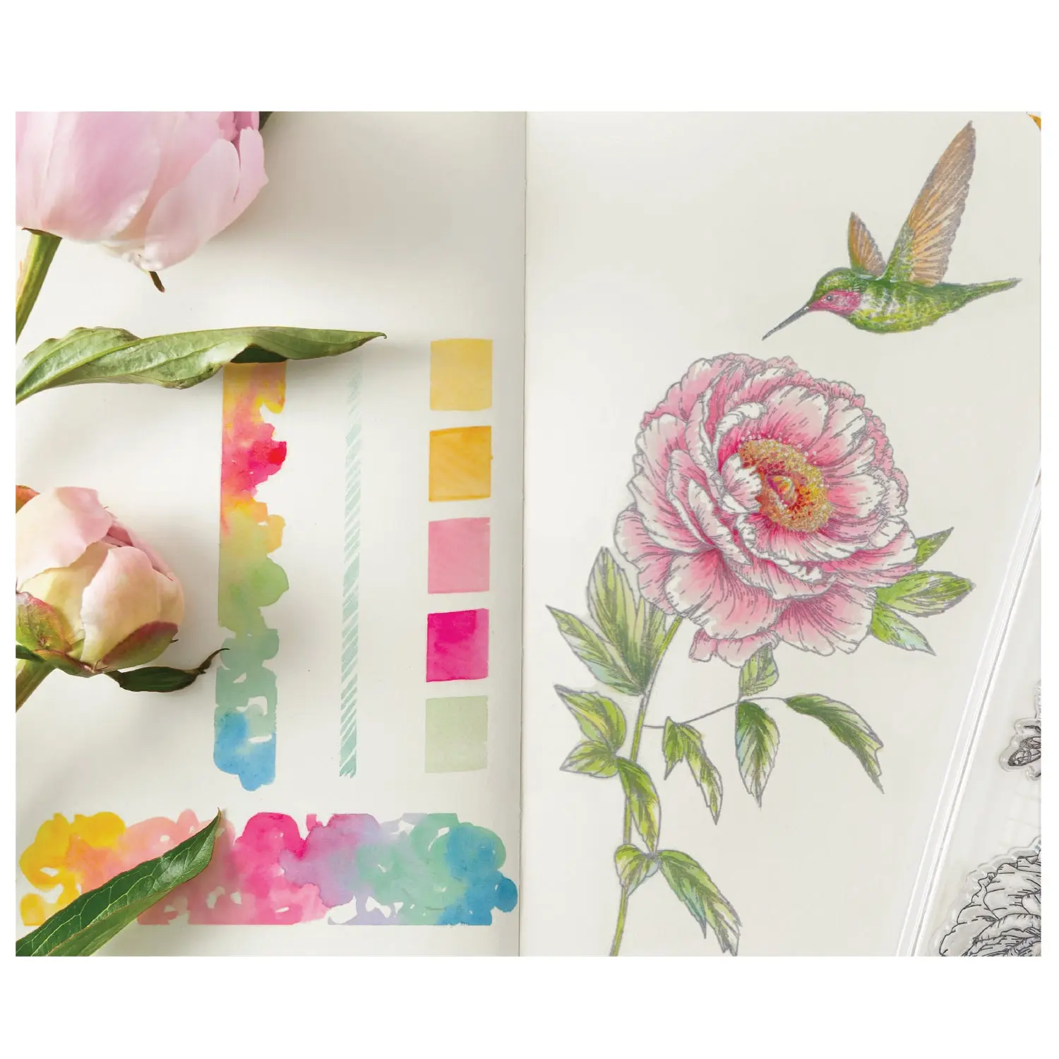 Sizzix Studio Clear Stamp Set 7PK - Flowers and Creatures by Willow Wolfe