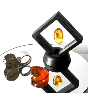 Insects in Amber Bundle - Enthusiast Tier