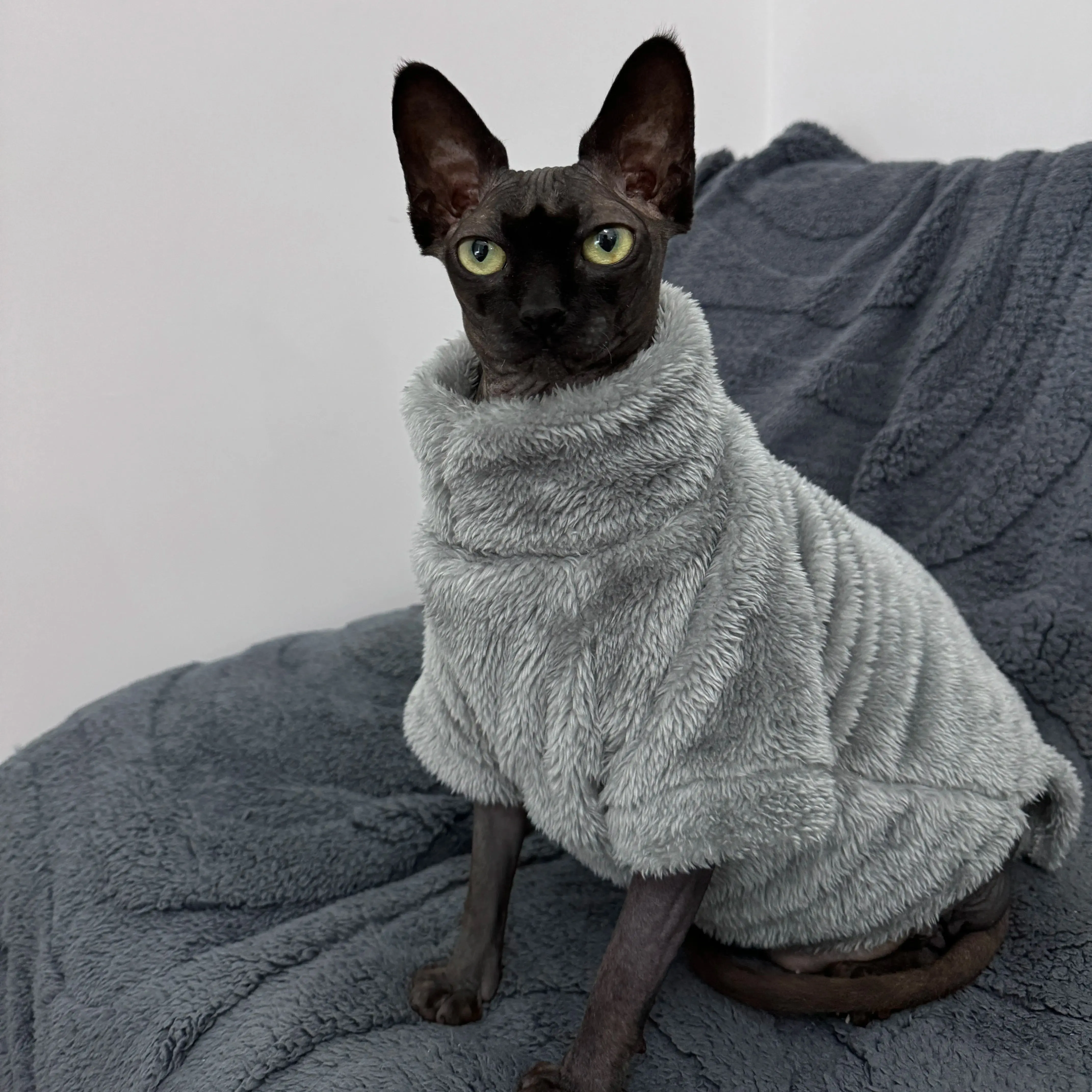 Cozy Fleece Cat Sweater - Lightweight Warmth for Cooler Days, Soft & Comfortable Fleece Material, Perfect for Indoor Cats, Easy to Put On & Take Off