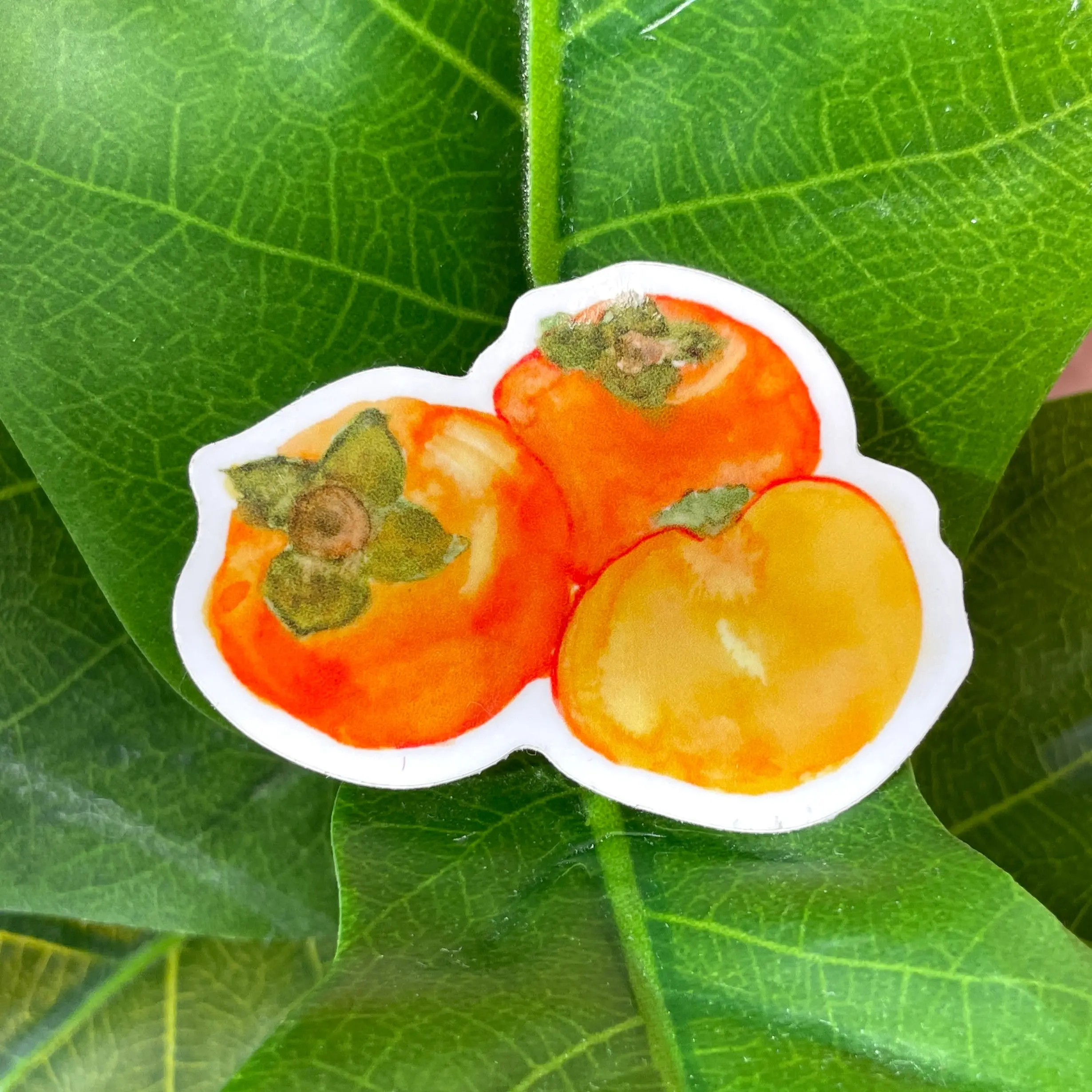 Persimmon Sticker Persimmon Sticker