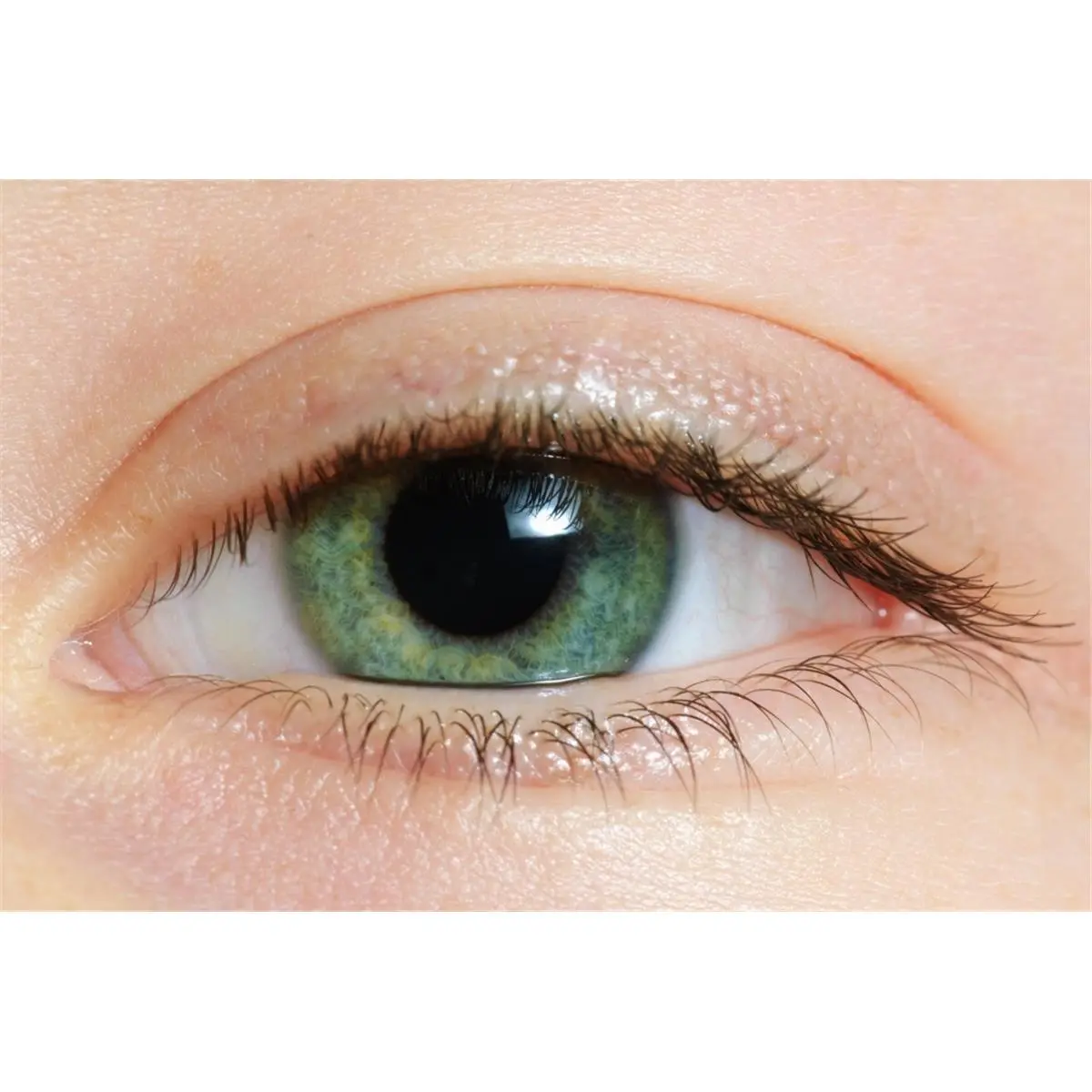212 MAIN Artistic Precise Green Eye Close-Up Photo Poster Print (19x12 in) - Bedroom Wall Art Decoration, Ideal Gift for Home Supplies Enthusiasts for Special Occasions