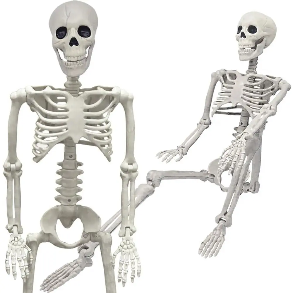 36" Skeleton Halloween Decorations, 3FT Realistic Full  Movable Posable Joints Skeleton, Creepy Halloween Plastic Skeleton for Graveyard Decorations, Haunted House Props Indoor/Outdoor Decor