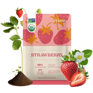 5000+Cream Strawberry Seeds for Planting, Fruits Extra Big, Juicy, Sweet Strawberries Great for Pots or the Ground, indoors or Outdoors