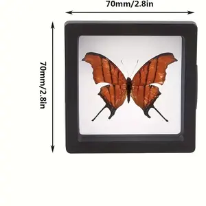 Display Case for 30 Small Exquisite Black Items Product Features: 3D floating design, dust-proof plastic, with elastic film, high transparency and gloss Applications: Leaf specimens, insect specimens, jewelry storage, etc. Model: DM033
