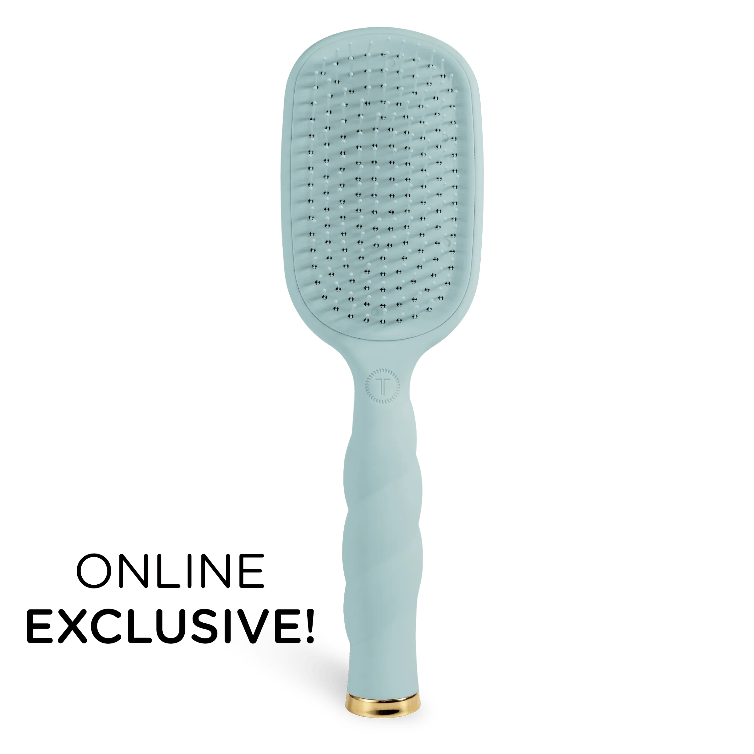 Detangler Hair Brush for Thick Hair – Blue