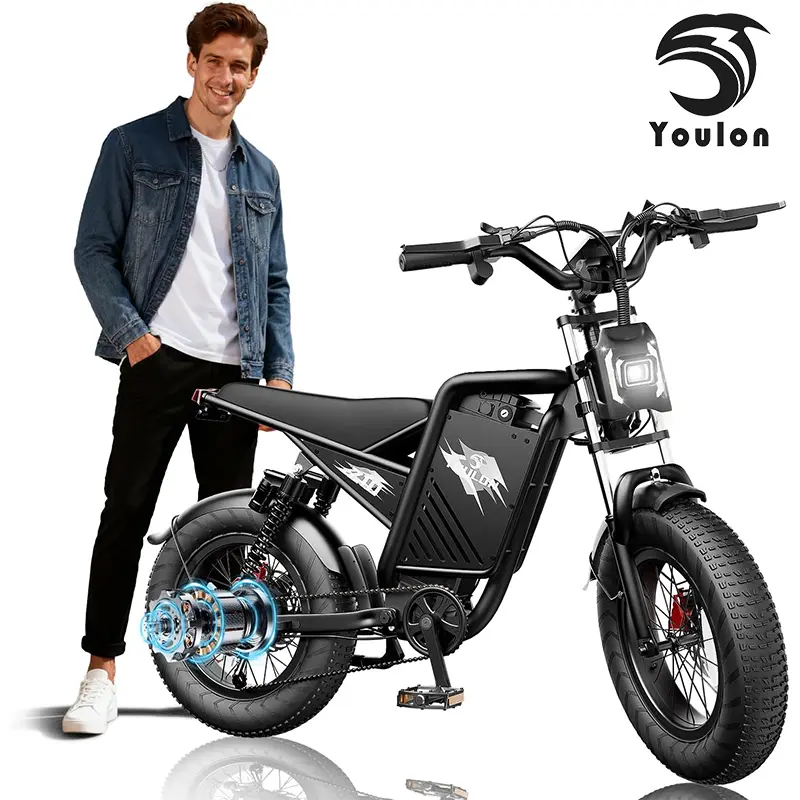 YOULON Adult Off-Road Ebike - 2000W Peak, 60V 23Ah Batt., 20"x4.0" Fat Tire, 38MPH, Dual Hydraulic Brakes, Full Suspension, All-Terrain for Mountain Biking & Off-Roading, Ebike For Adults, Stainless Fork, 2000W Peak High-Performance Motor