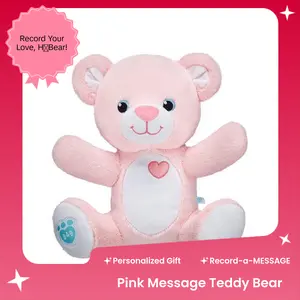 Build-A-Bear Pink Personalized Voice Message Bear 10 Inches Plush Toy with Record-a-MESSAGE Feature