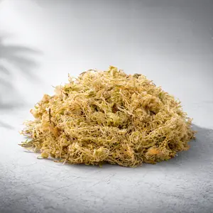 Long-Fiber Sphagnum Moss | Premium Moisture-Retentive Substrate | 4QT