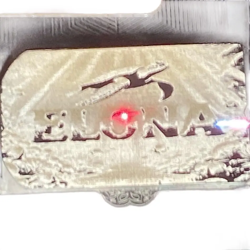 HologramID Stainless Steel Customizable Holographic Laser Engraved Dog Tags - Personalized Pet ID Tag light up