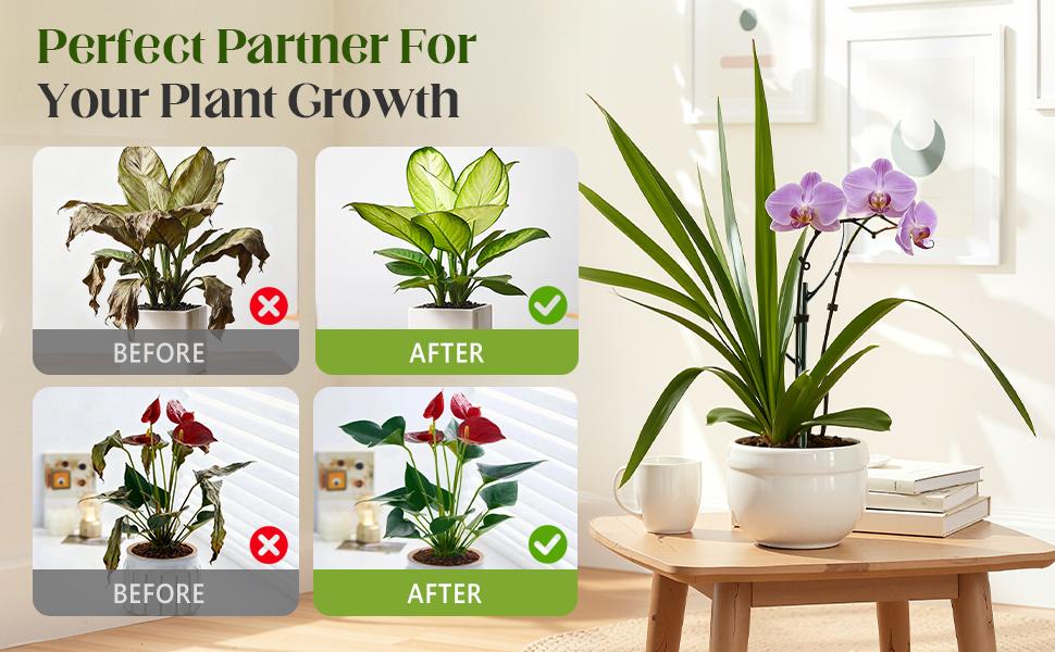 Stackable Monstera Plant Support Stakes – 10 Pack Durable Climbing Plant Support for Indoor & Outdoor Potted Plants, Garden Stakes for Pothos, Philodendron & Vine Plants