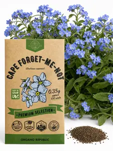 Cape Forget-Me-Not Seeds