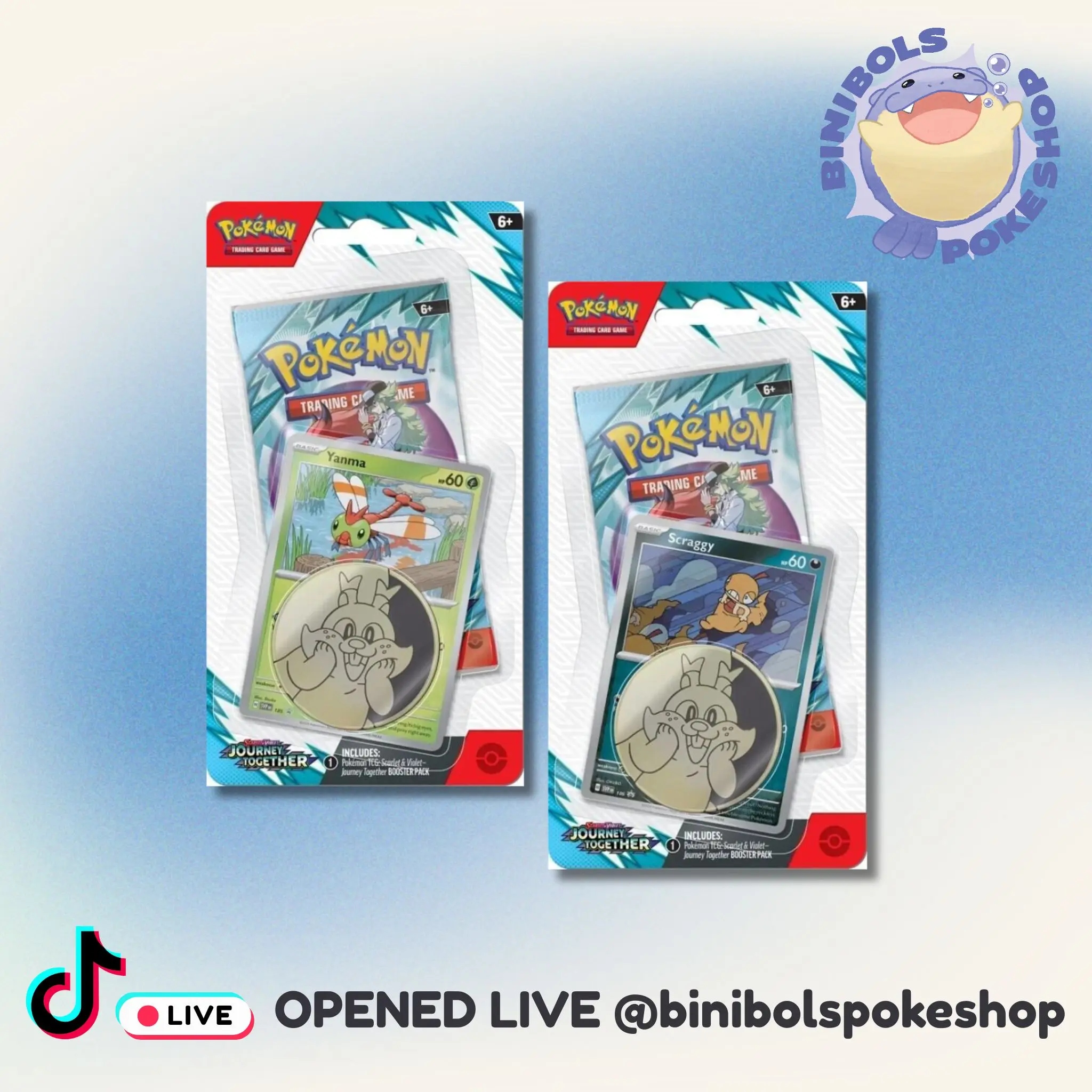 Journey Together Single Pack Blister