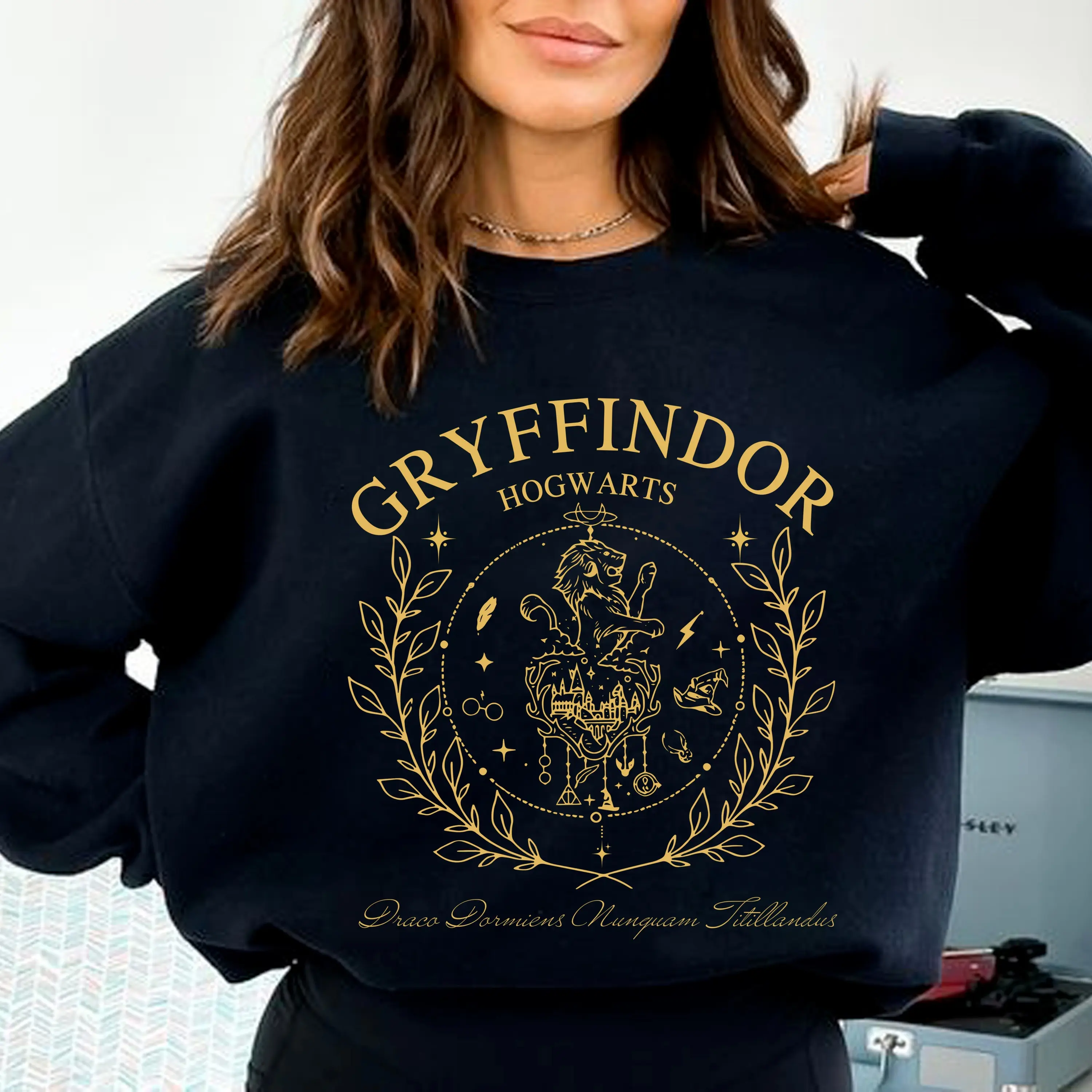 Harry Potter Tee Shirt, Hogwarts Houses Sweatshirts, Retro Gryffindor Sweatshirt, Wizard School T-shirt, Vintage Movie Bookish Sweatshirt