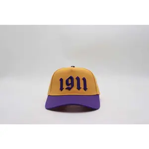 Omega 1911 Snapback Hat