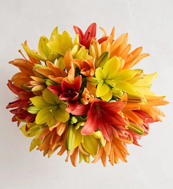 1800 Flowers - 24 Stem Kaleidoscope Roses Bouquet Only, Fresh Flowers 1800 Flowers - 24 Stem Kaleidoscope Roses Bouquet Only, Fresh Flowers