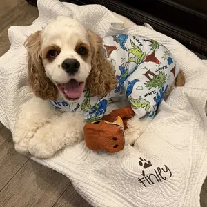 XPUDAC 1-Pack Cozy Pet Pajama, Cute Cartoon Duckie Print Breathable Sleepwear, Universal Size Puppy Costume Shirts & Vests Outfits for Small Medium Large Dogs Cats (Christmas Halloween Gift for Petlovers)