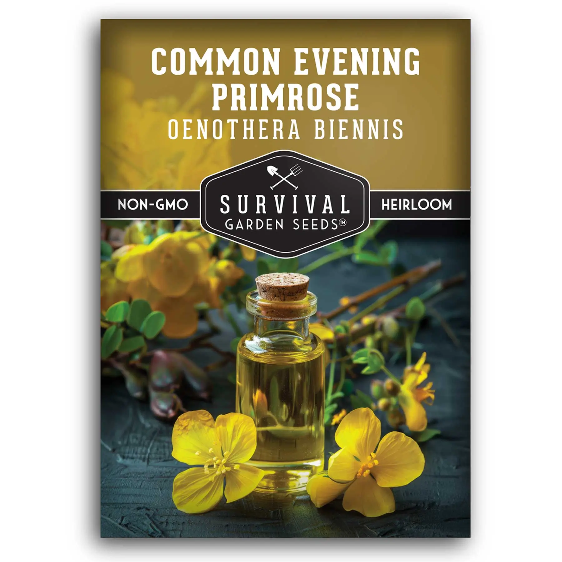 Common Evening Primrose Seeds - Native Wildflower
