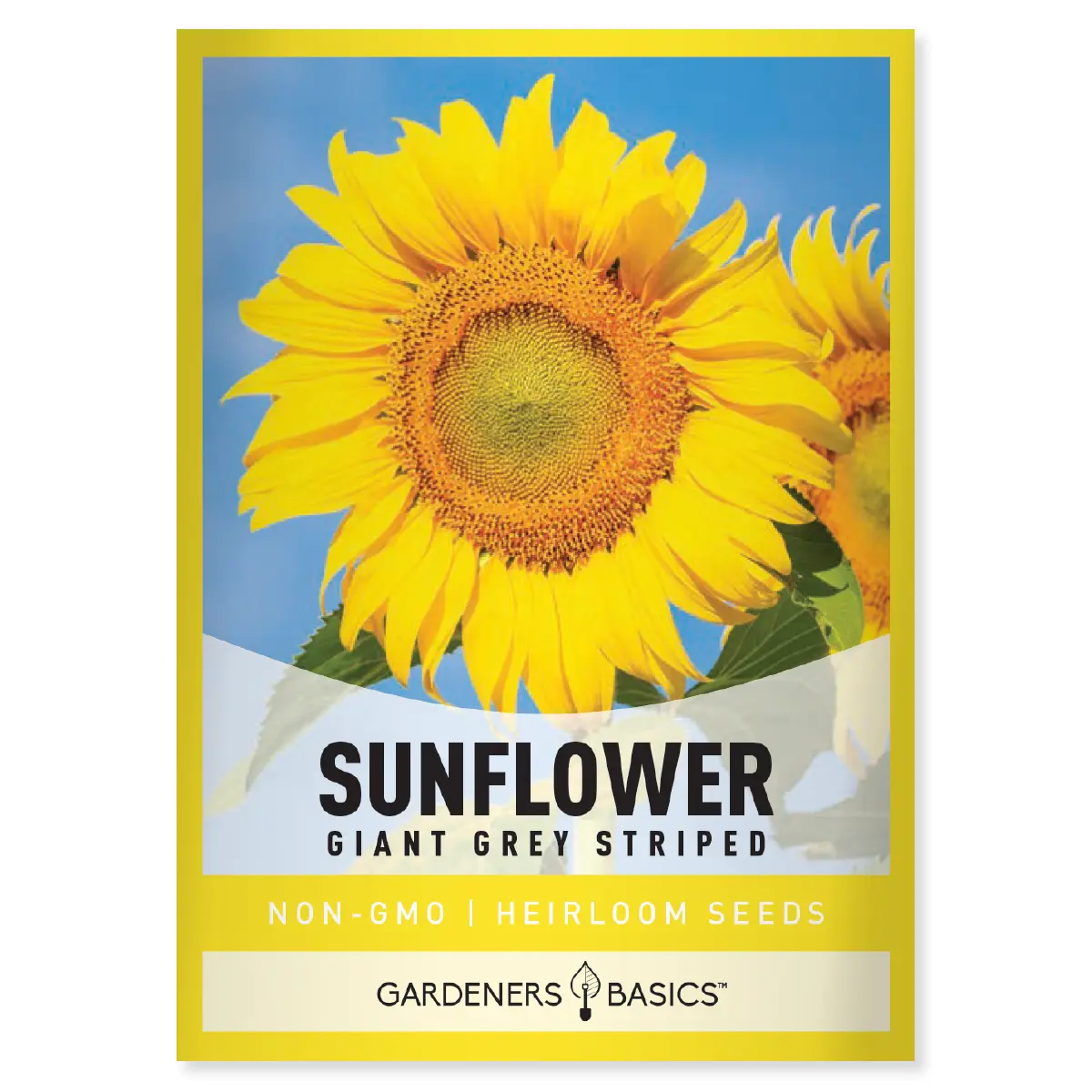 Grey Stripe Sunflower Seeds sunflower seed