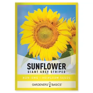 Grey Stripe Sunflower Seeds sunflower seed