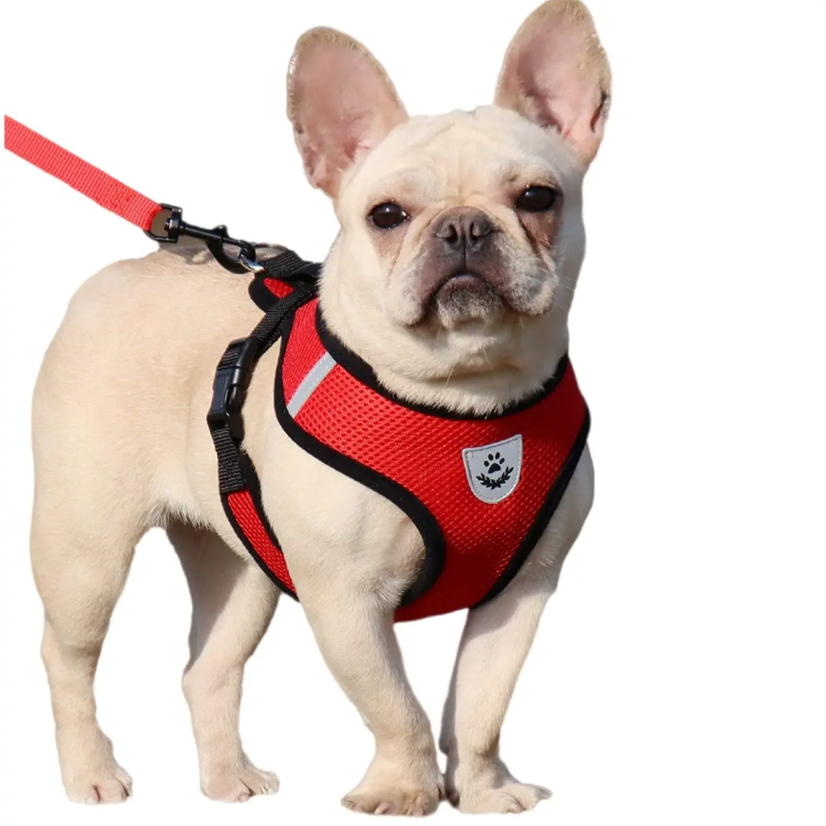 Pet Harness & No-Tangle Leash Set, Breathable Adjustable Universal Chest Harness with Reflective Strips, Outdoor Walking Supplies for Small/Medium Dogs & Cats