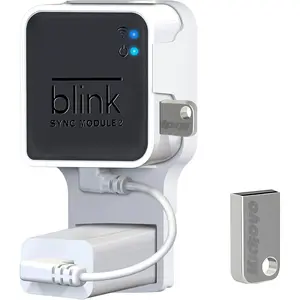 256GB USB Flash Drive & Wall Mount for Blink Sync Module 2 with Short  - Declutter, Save Space, and Effortlessly Enhance  (1 Pack)